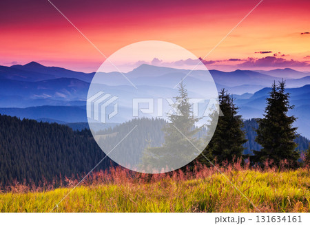 Summer landscape in mountains Summer landscape in mountains 131634161