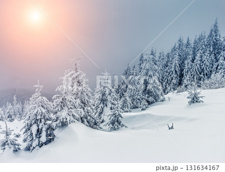Dramatic wintry landscape 131634167