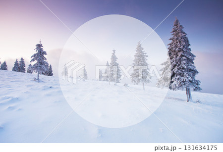 Amazing winter landscape Amazing winter landscape 131634175