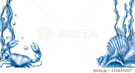 Marine seashells template:crab,twisted spiky seashell,oyster,mussel,ribbed cemicircular seashell,air bubbles,stylized laminaria blue monochrome colors.Hand-drawn watecolor illustration isolated 131634207