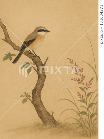 秋枝のモズ 131634271