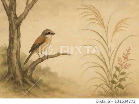 木立に佇むモズ 木立に佇むモズ 131634272