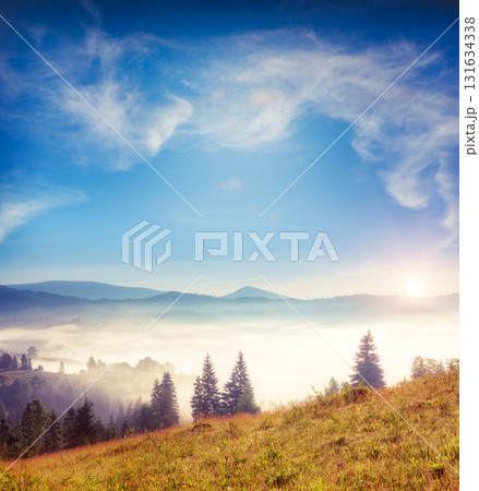 Amazing mountain landscape Amazing mountain landscape 131634338