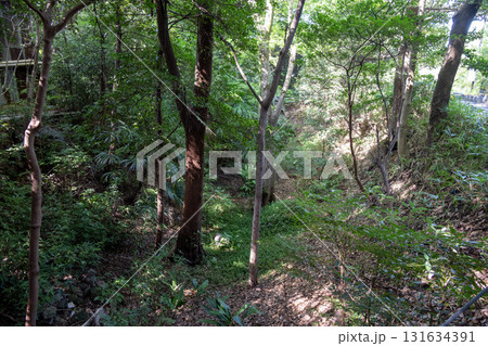 末森城　二の丸跡周囲の空堀 131634391