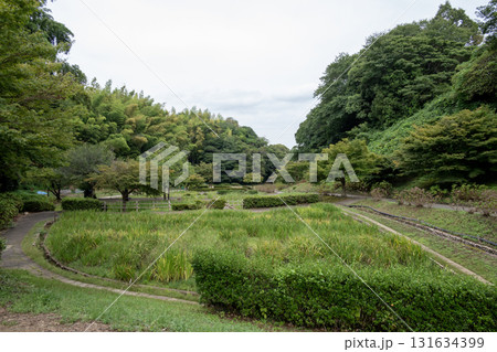 伊勢亀山城　水堀跡 131634399