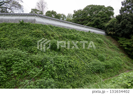 伊勢亀山城　二の丸帯郭と復元された土塀 131634402