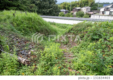 伊勢亀山城 二の丸帯郭に復元された埋門 伊勢亀山城 二の丸帯郭に復元された埋門 131634403