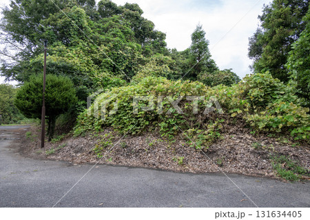 伊勢亀山城　西出丸跡に残る土塁 131634405