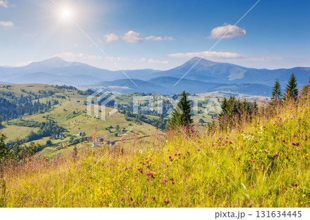 Beautiful green hills Beautiful green hills 131634445