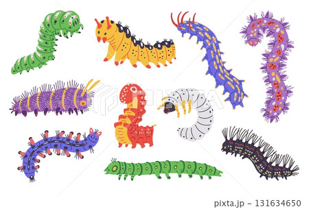Vector set of illustrations with colorful caterpillars, different shapes and types. 131634650