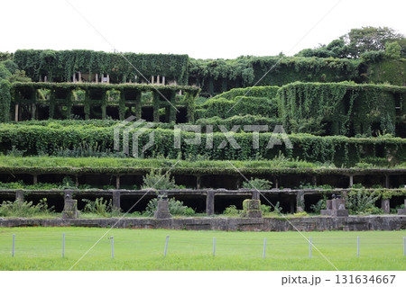 佐渡金山 131634667