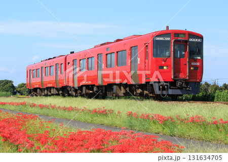 彼岸花咲く久大本線を行くキハ200系気動車（JR九州） 131634705