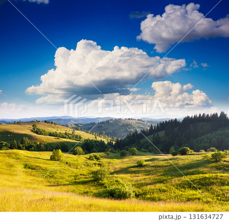 Summer landscape in mountains Summer landscape in mountains 131634727