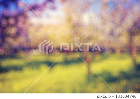 Natural blurred background 131634746