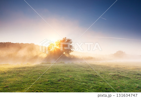 the foggy morning 131634747