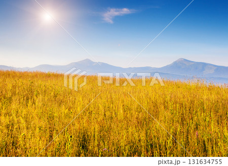 Summer landscape in mountains 131634755