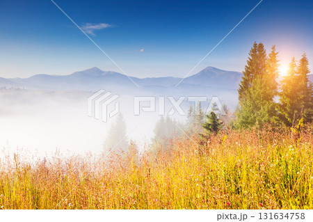 magical green hills magical green hills 131634758