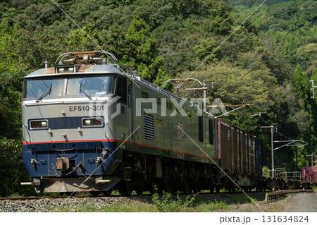 緑の中を走る 緑の中を走る 131634824