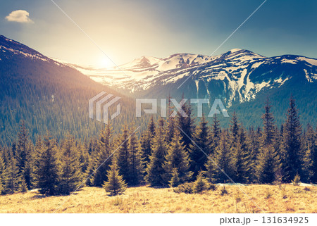 magical mountains landscape 131634925