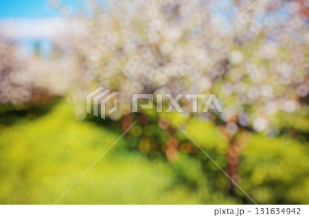 Natural blurred background 131634942