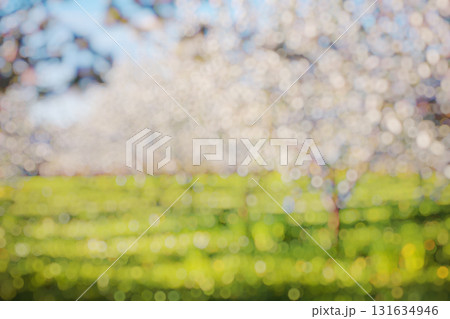 Natural blurred background 131634946