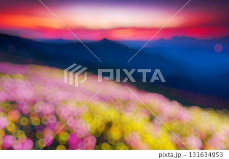 Natural blurred background 131634953