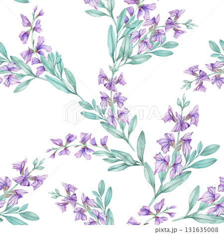 Hand drawn watercolor illustration of purple sage stems with green foliage. Great for botanical posters, stationery, fabric prints, wall art, packaging designs, and decorative projects. Hand drawn watercolor illustration of purple sage stems with green foliage. Great for botanical posters, stationery, fabric prints, wall art, packaging designs, and decorative projects. 131635008