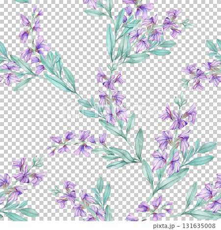Hand drawn watercolor illustration of purple sage stems with green foliage. Great for botanical posters, stationery, fabric prints, wall art, packaging designs, and decorative projects. Hand drawn watercolor illustration of purple sage stems with green foliage. Great for botanical posters, stationery, fabric prints, wall art, packaging designs, and decorative projects. 131635008