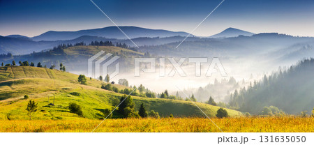 Summer landscape in mountains Summer landscape in mountains 131635050