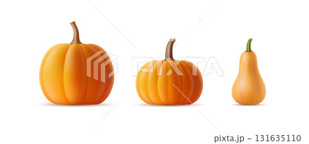 Vector set of 3D realistic pumpkins of various shapes and varieties on an isolated background. Volumetric squash, gourd template with shadow for Halloween party banner. Autumn vegetable illustration Vector set of 3D realistic pumpkins of various shapes and varieties on an isolated background. Volumetric squash, gourd template with shadow for Halloween party banner. Autumn vegetable illustration 131635110