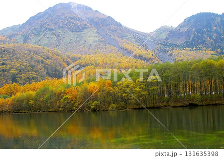 長野県　松本市　上高地　黄葉の焼岳（北峰）と大正池（晩秋） 131635398
