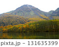 長野県　松本市　上高地　黄葉の焼岳と大正池（晩秋） 131635399