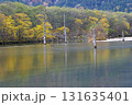 長野県　松本市　上高地　黄葉と大正池（晩秋） 131635401
