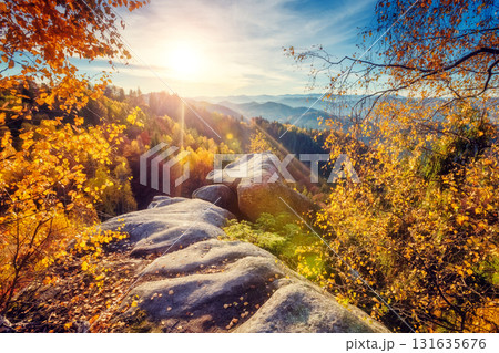 Majestic autumn landscape Majestic autumn landscape 131635676