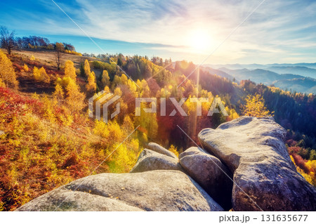 Majestic autumn landscape 131635677