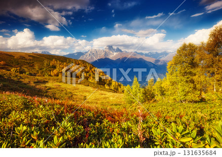 beautiful autumn landscape beautiful autumn landscape 131635684