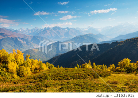 beautiful autumn landscape 131635918