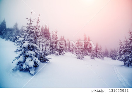 Fantastic wintry landscape 131635931
