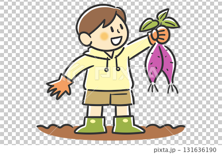 收穫地瓜的男孩 131636190