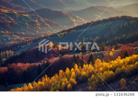 Majestic autumn landscape Majestic autumn landscape 131636266