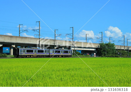 夏空と緑の稲が眩しい盛夏の東北本線 131636318
