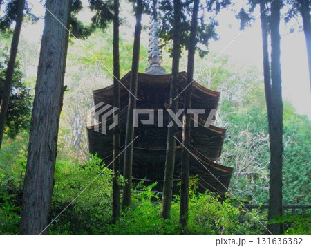 別所温泉 安楽寺 八角三重塔 別所温泉 安楽寺 八角三重塔 131636382