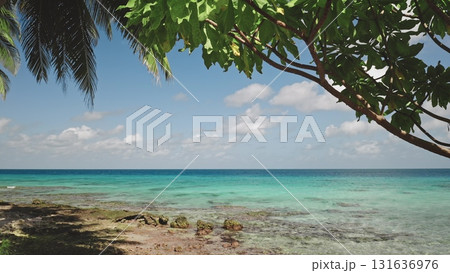 Palm trees and tropical vegetation framing a seascape with turquoise water, rocks, and white clouds in a sunny day create a perfect vacation spot. Travel background, idyllic exotic paradise. Static Palm trees and tropical vegetation framing a seascape with turquoise water, rocks, and white clouds in a sunny day create a perfect vacation spot. Travel background, idyllic exotic paradise. Static 131636976