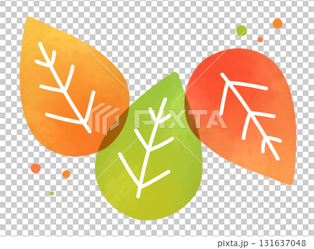 A set of transparent orange, green and red autumn leaves A set of transparent orange, green and red autumn leaves 131637048