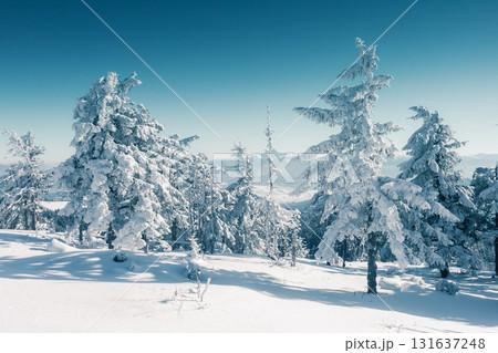 beautiful wintry landscape beautiful wintry landscape 131637248