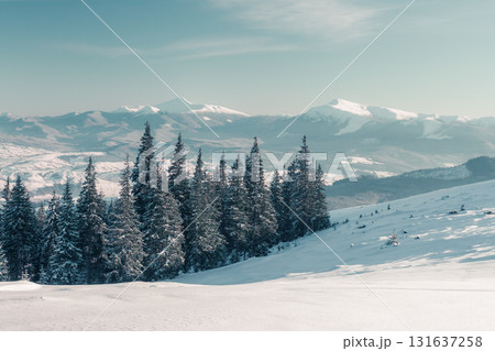 beautiful wintry landscape beautiful wintry landscape 131637258