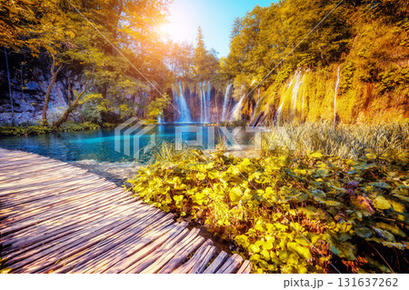 Plitvice Lakes National Park 131637262