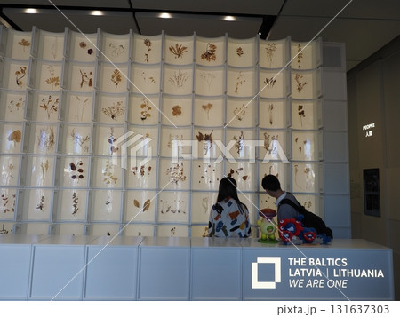 大阪関西万博　2025　バルト3国　パビリオン　 131637303