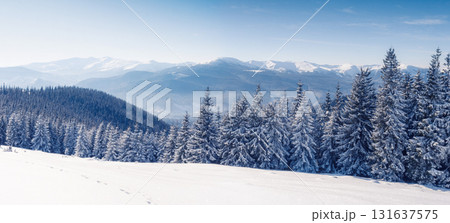 Majestic winter landscape 131637575