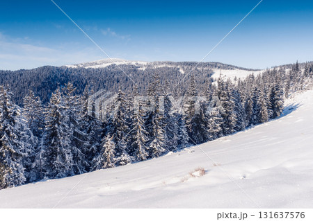 Majestic winter landscape 131637576